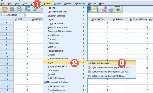 Kiểm định độ tin cậy của thang đo bằng hệ số Cronbach’s Alpha trong SPSS