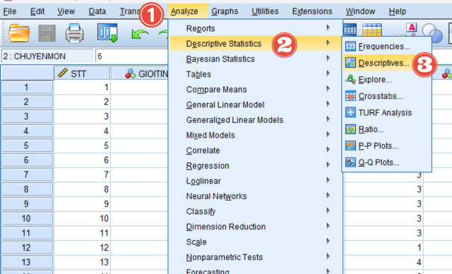 Thống kê mô tả trong SPSS 10