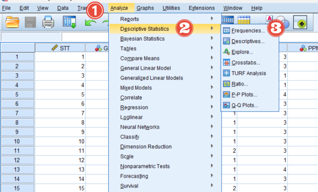 Thống kê mô tả trong SPSS