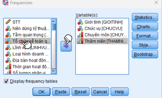 Thống kê mô tả trong SPSS 3